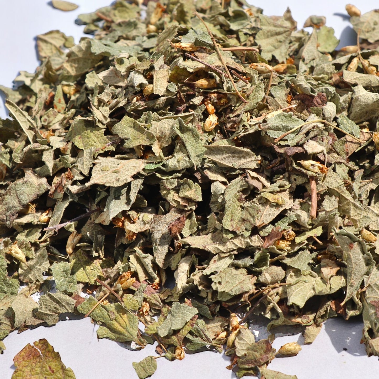 Mexican Dream Herb