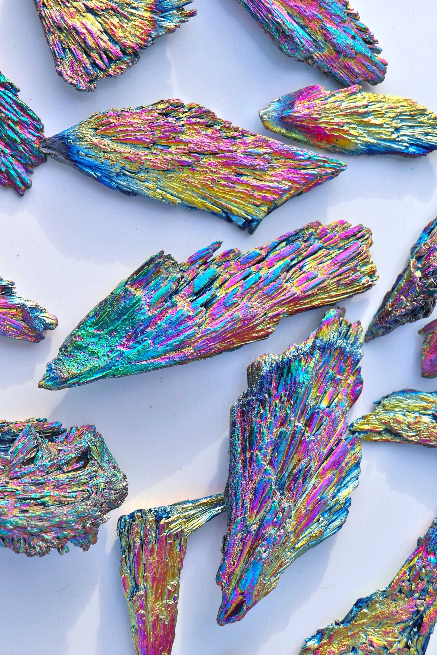 Aura Kyanite Fans