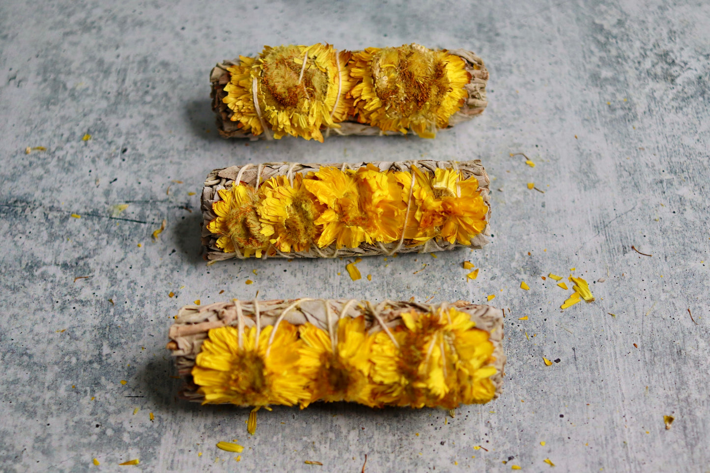 Sunflower Sage