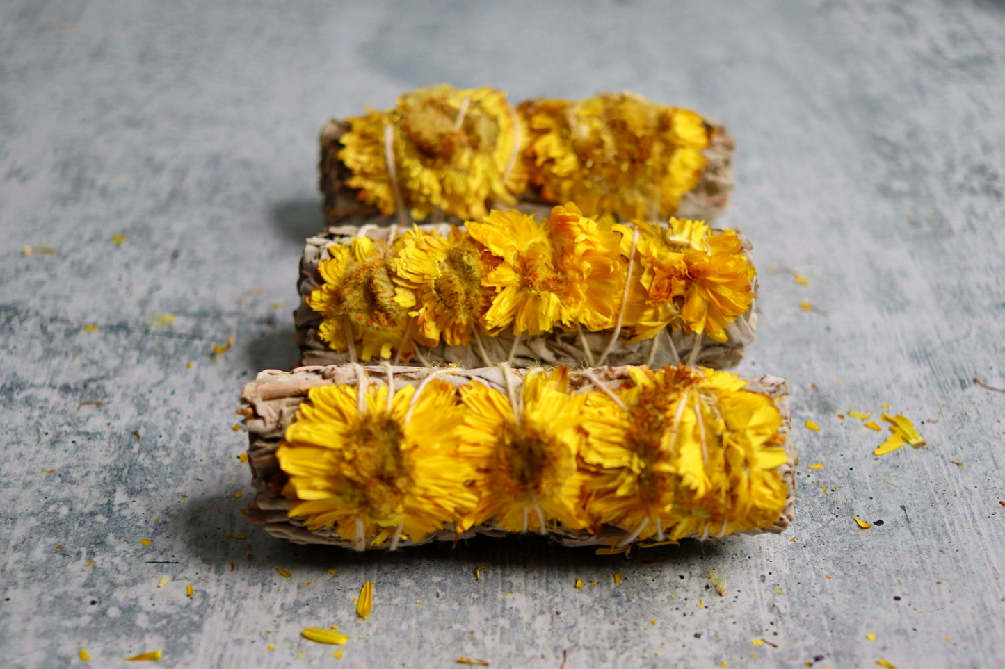 Sunflower Sage