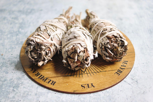 White Sage Torches