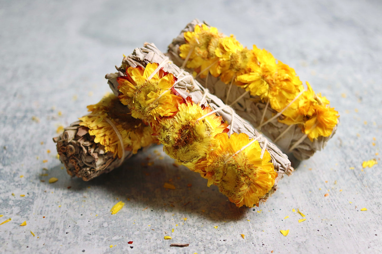 Sunflower Sage