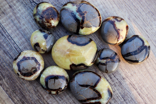 Septarian Palm Stone