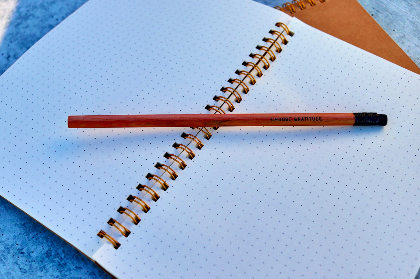 Manifestation Journal