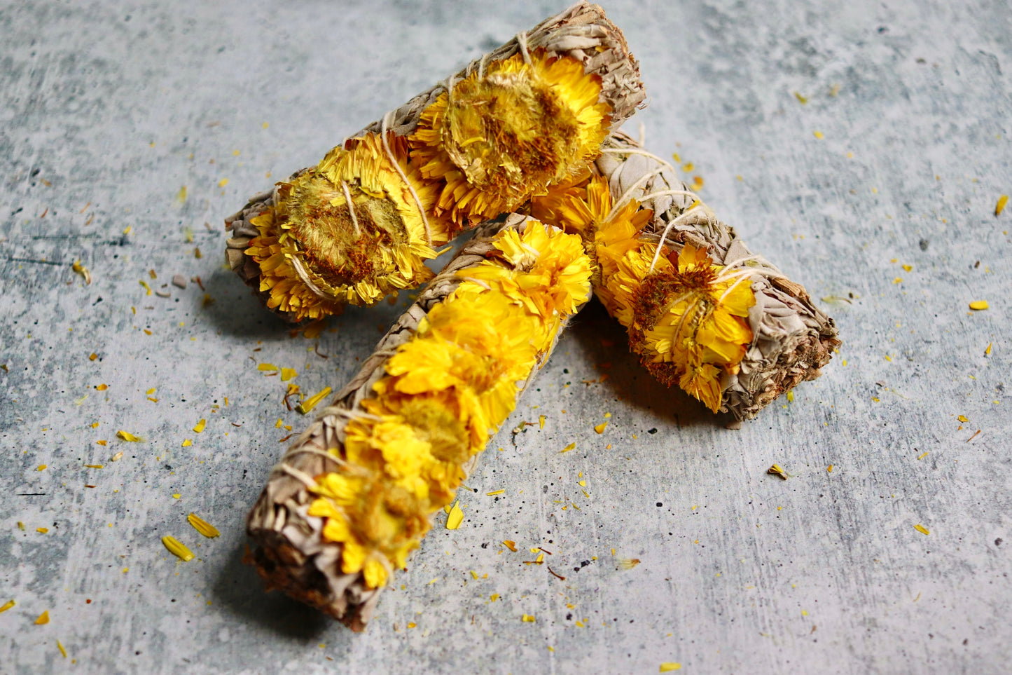 Sunflower Sage