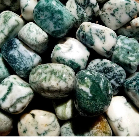 Tree Agate
