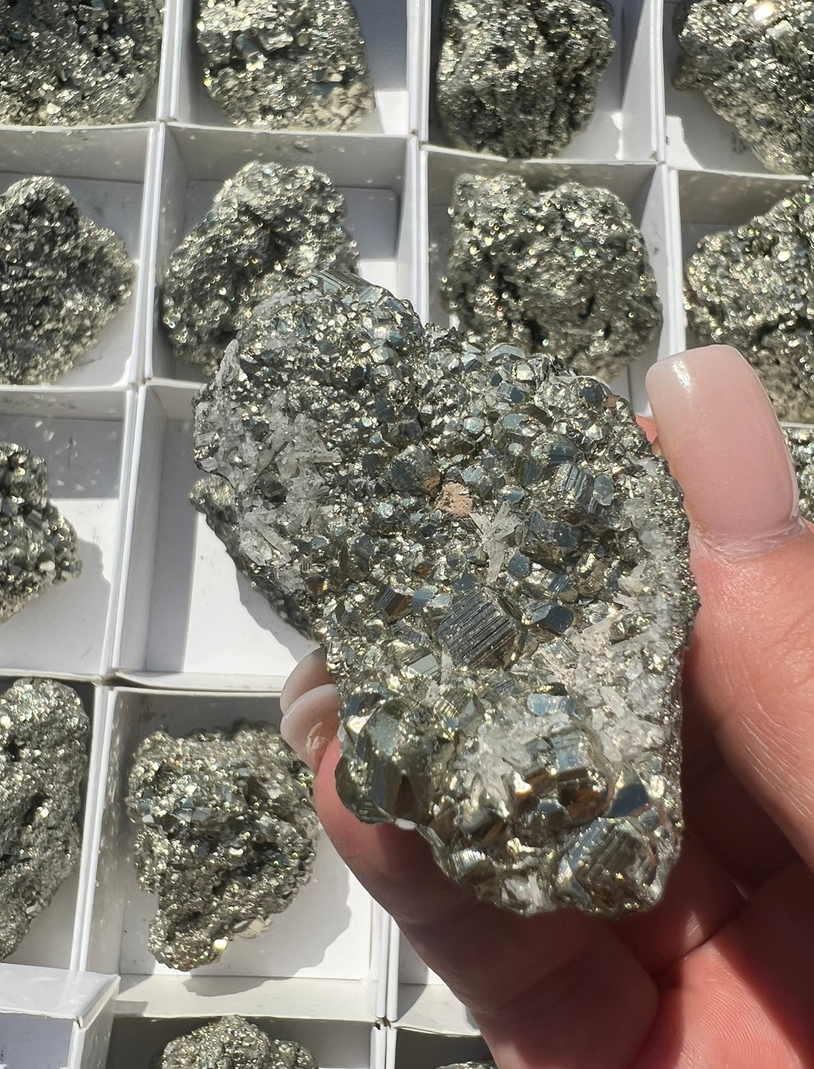 Peruvian Pyrite