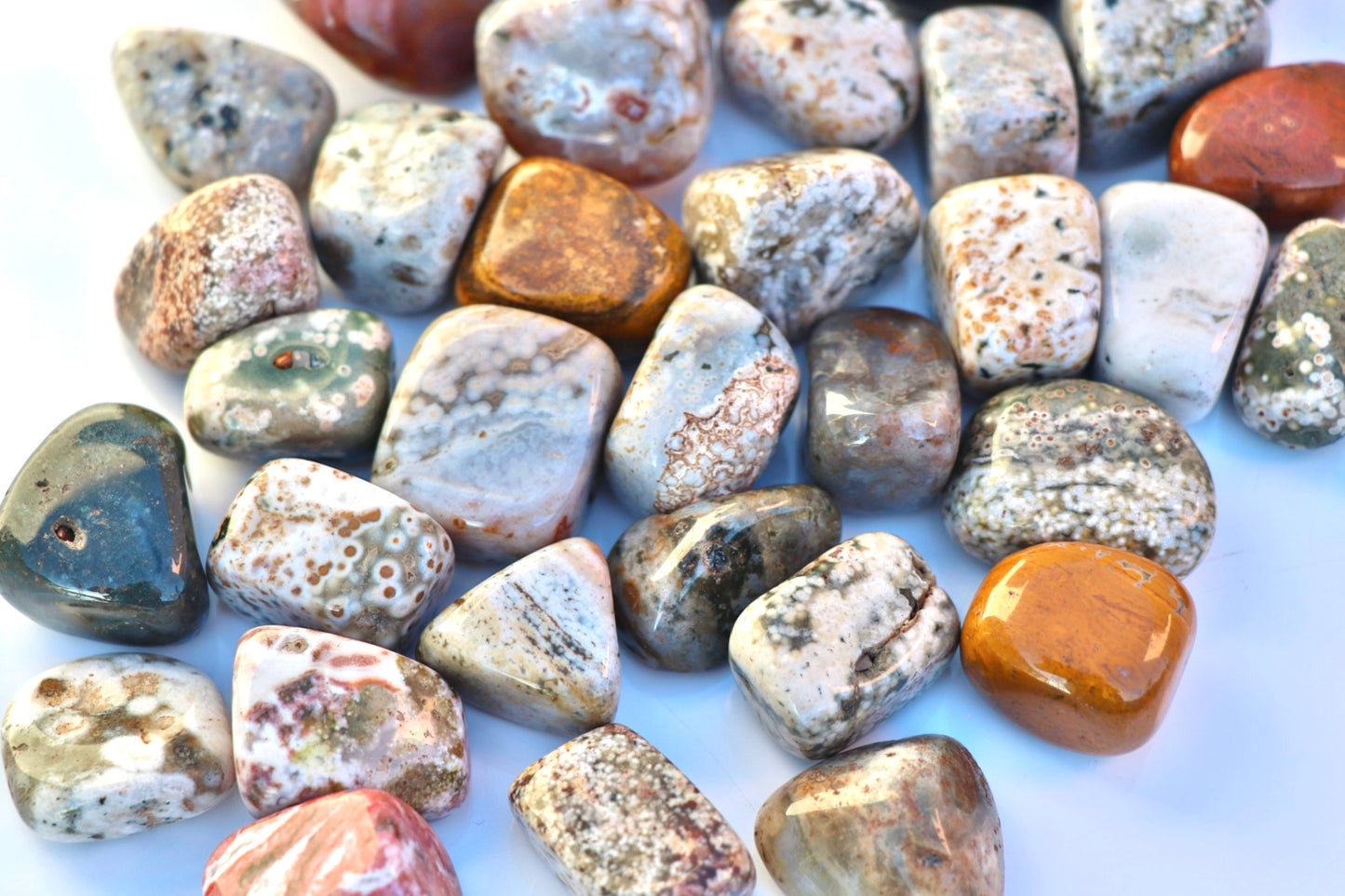 Ocean Jasper